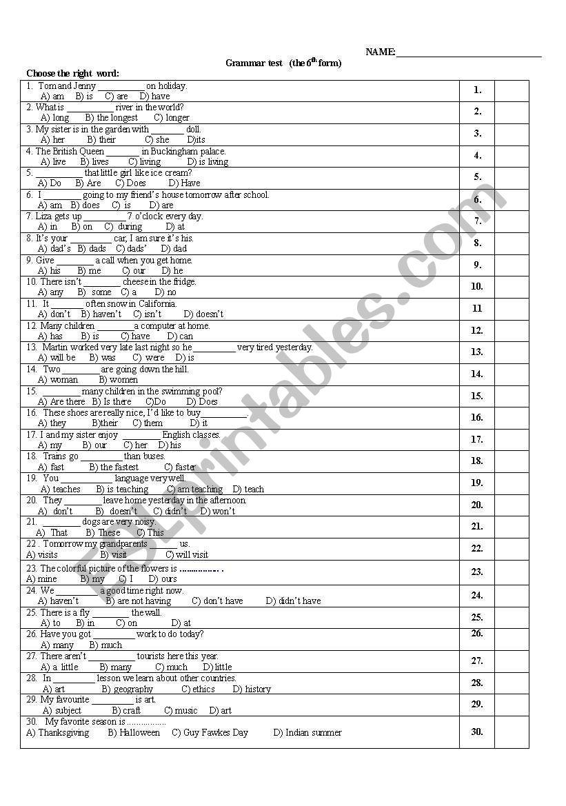 Grammar and Vocabulary Test worksheet