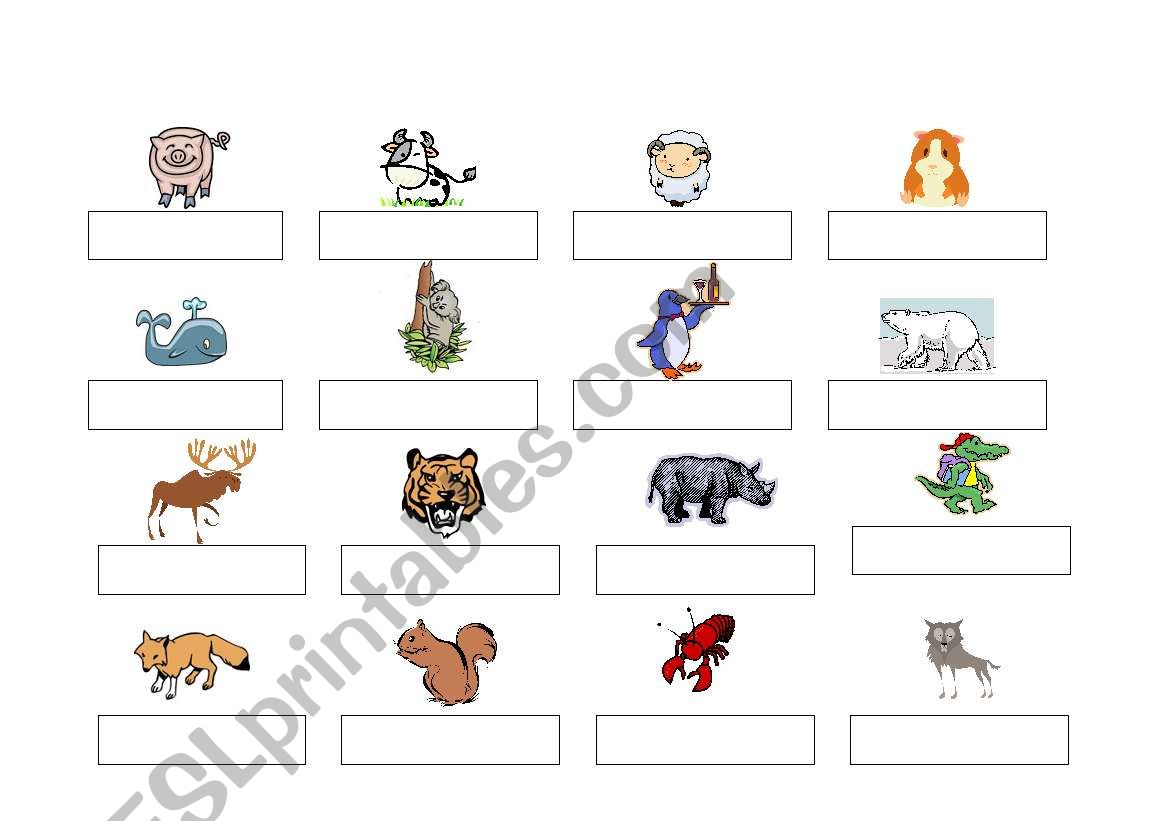 Animals worksheet