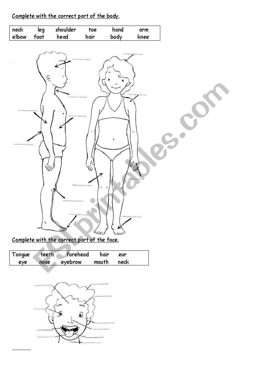 Body and face worksheet