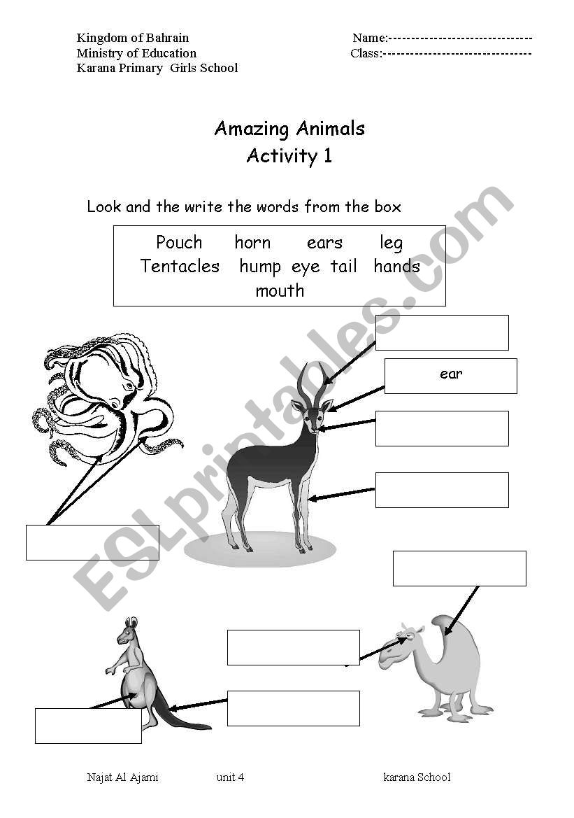 Animals Parts of the body worksheet