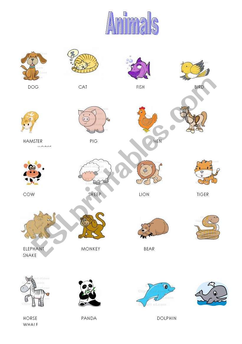 ANIMALS worksheet