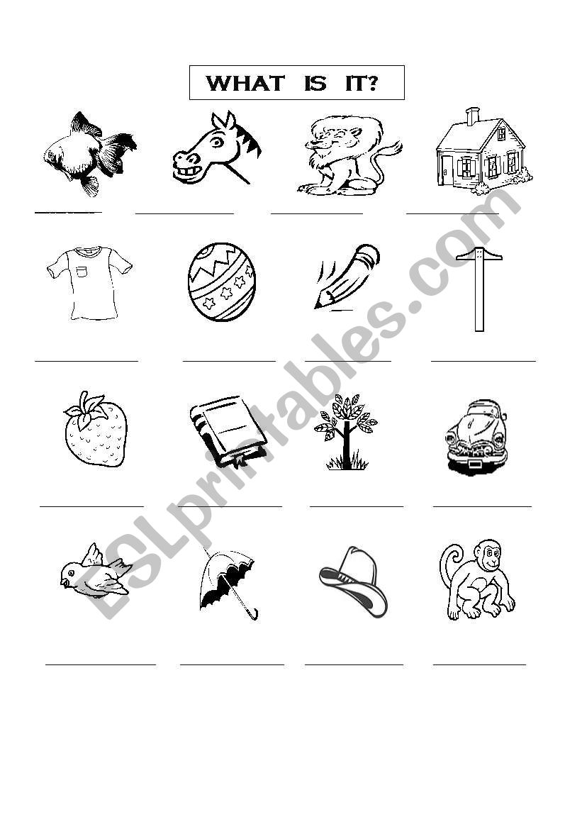 WHAT IS IT? worksheet