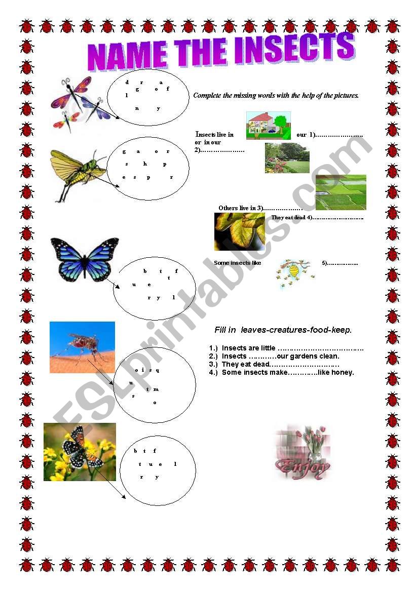  name the insects... worksheet