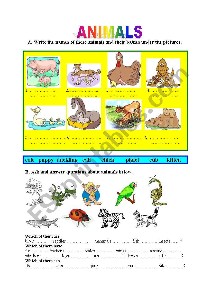 Animals -babies, descriptions worksheet