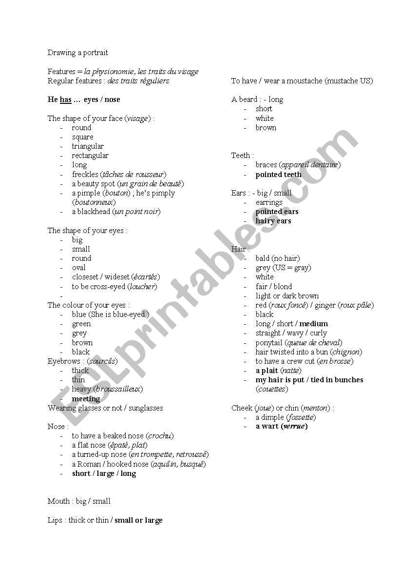 Drawing a portrait vocabulary worksheet