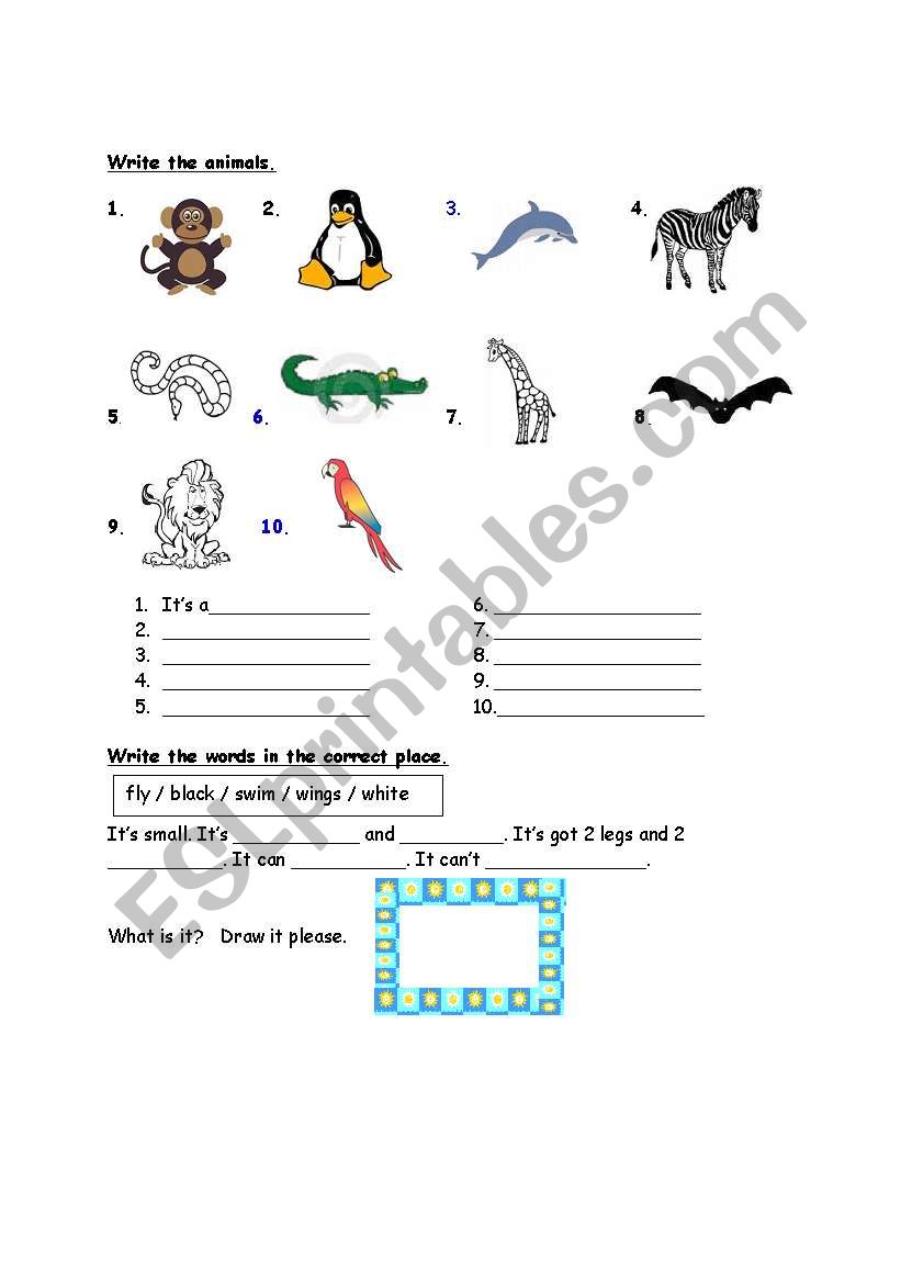 wild animals worksheet