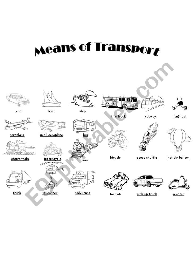 Means of Transport worksheet