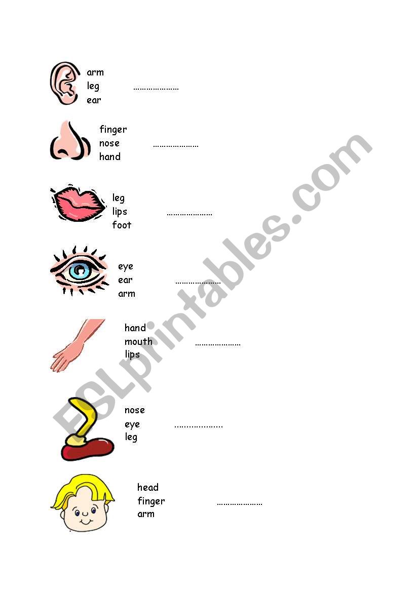 body parts worksheet