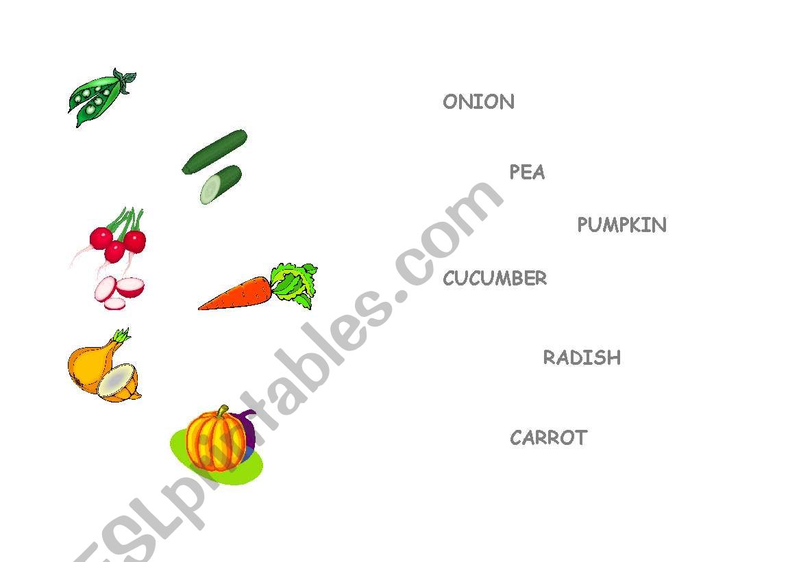 vegetables worksheet