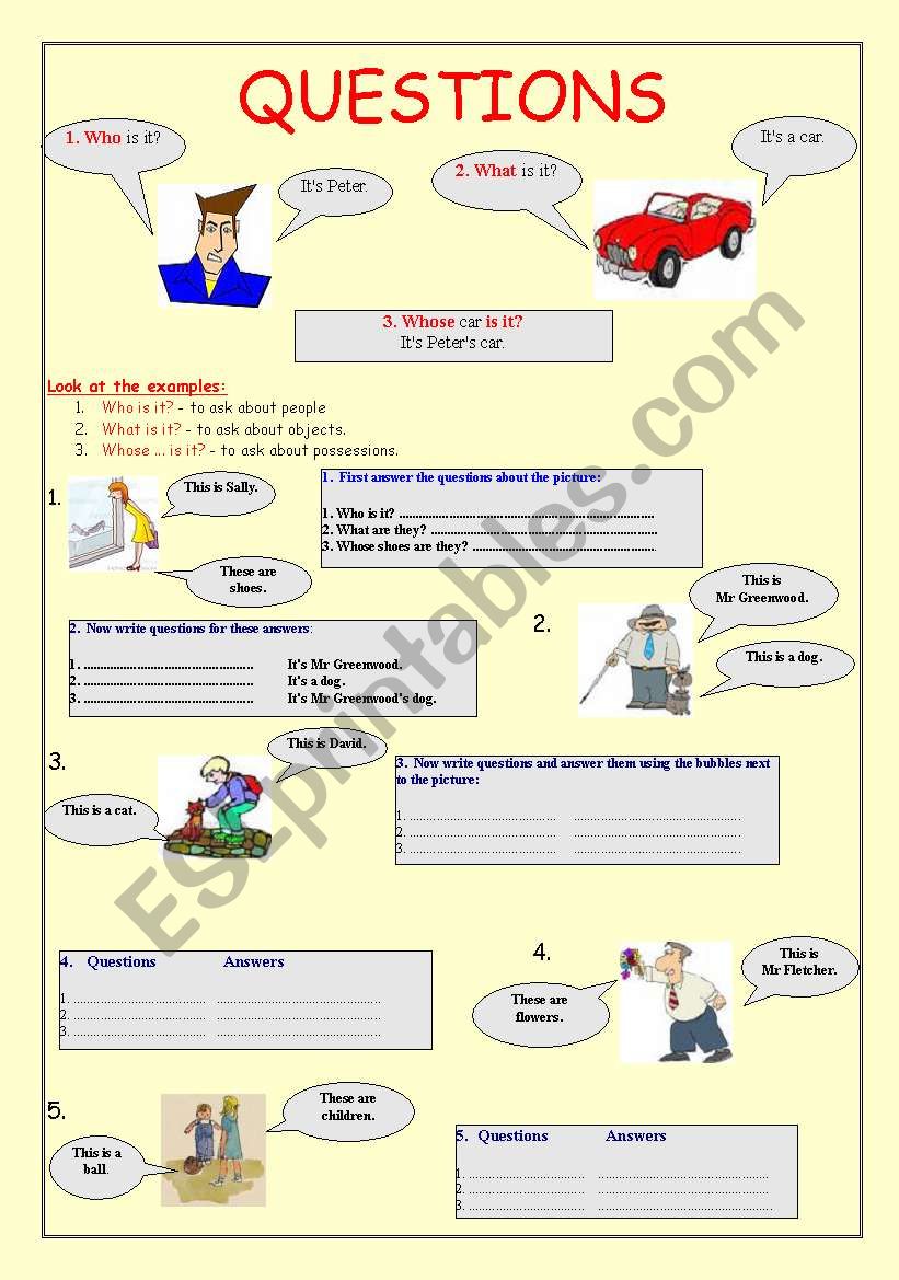 Questions and answers worksheet