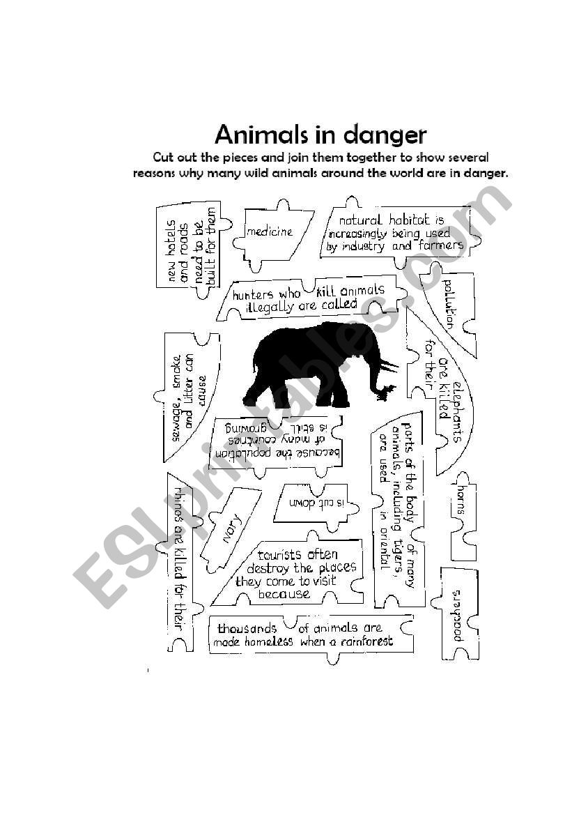 animals in danger worksheet