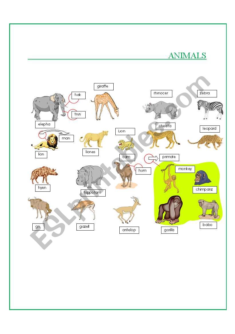 Animals- Part II worksheet