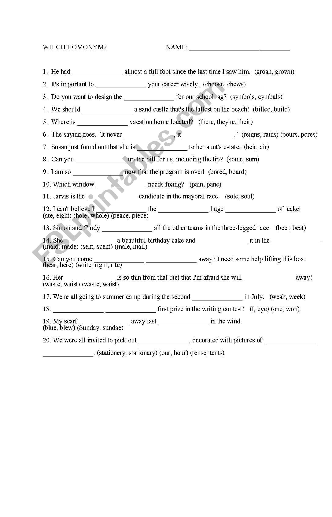 homonyms worksheet worksheet