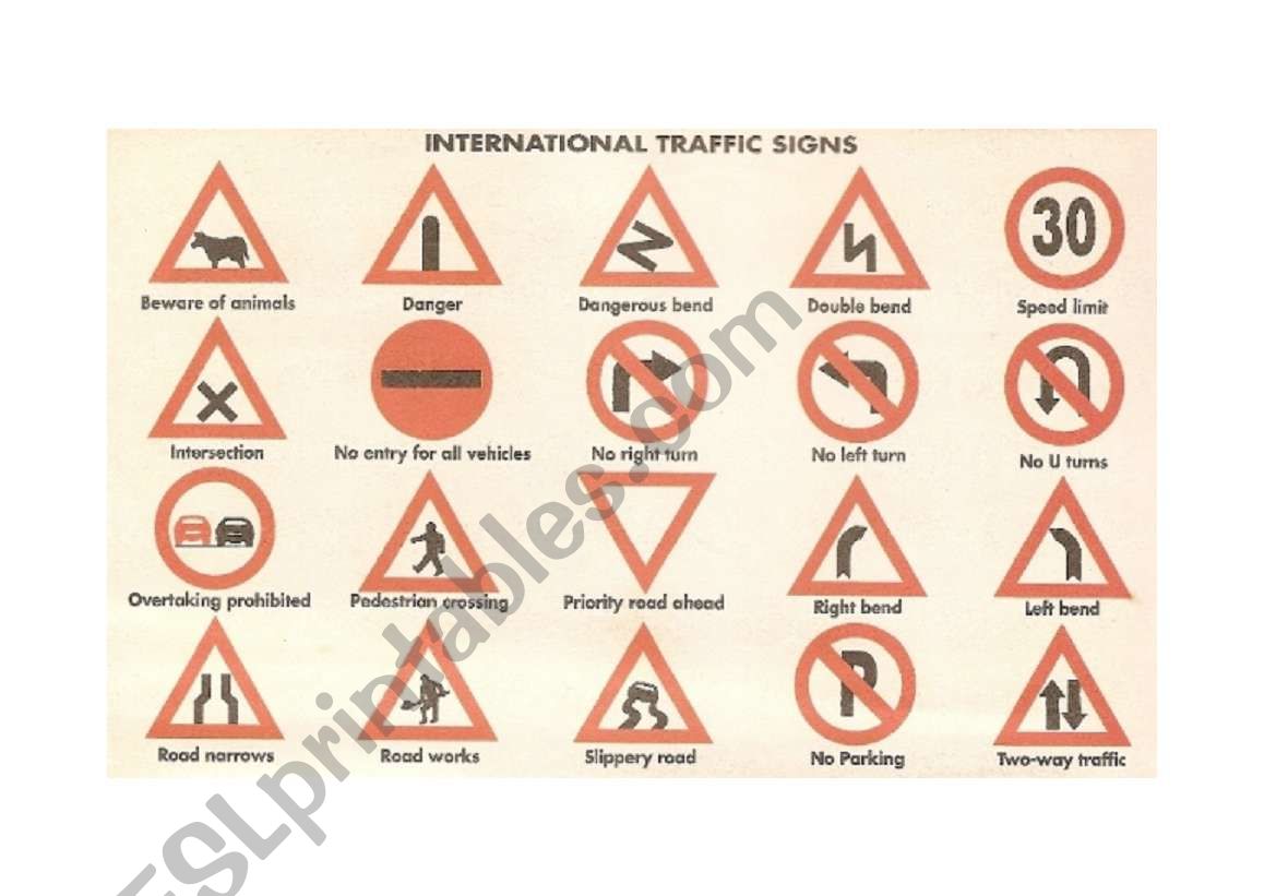 International Traffic signs worksheet