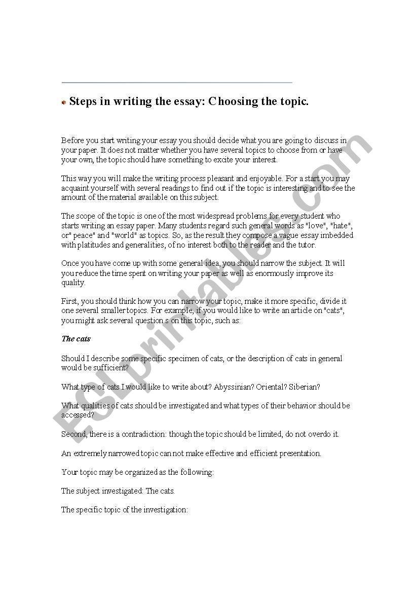 steps in writing an essay worksheet