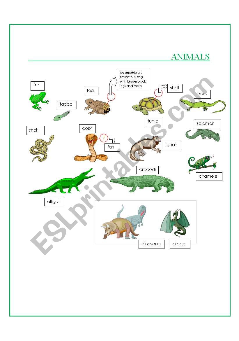 Animals Part III worksheet