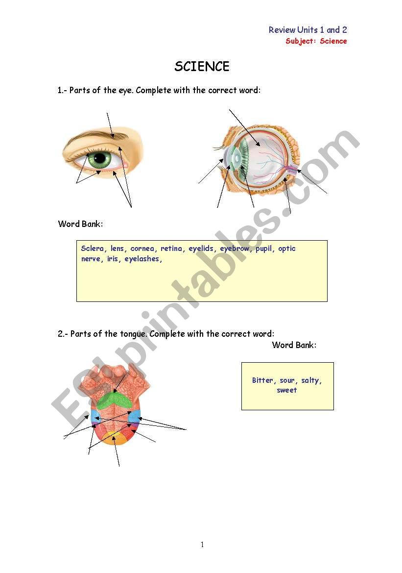 REVIEW YOUR VOCABULARY ABOUT SENSES, BONES AND MUSCLES