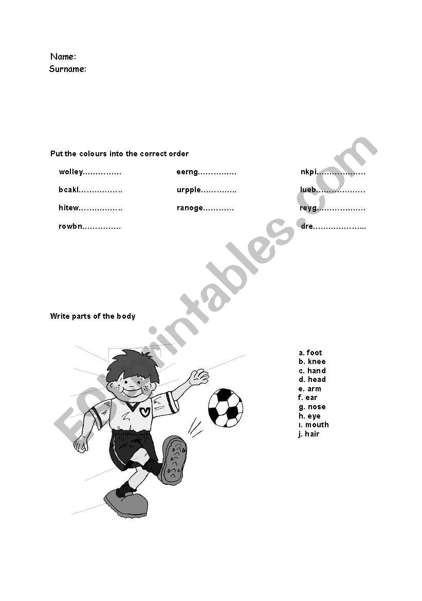 parts of the body and colours worksheet