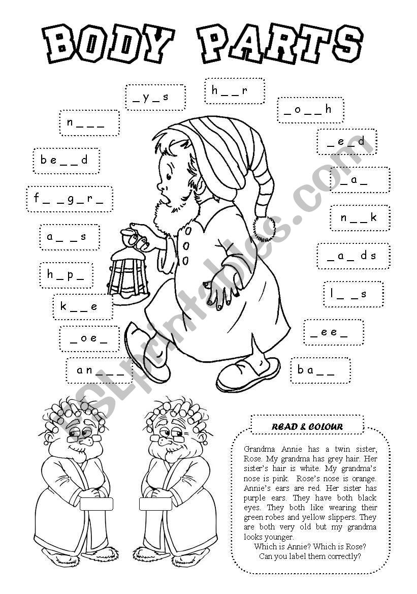 Body parts worksheet