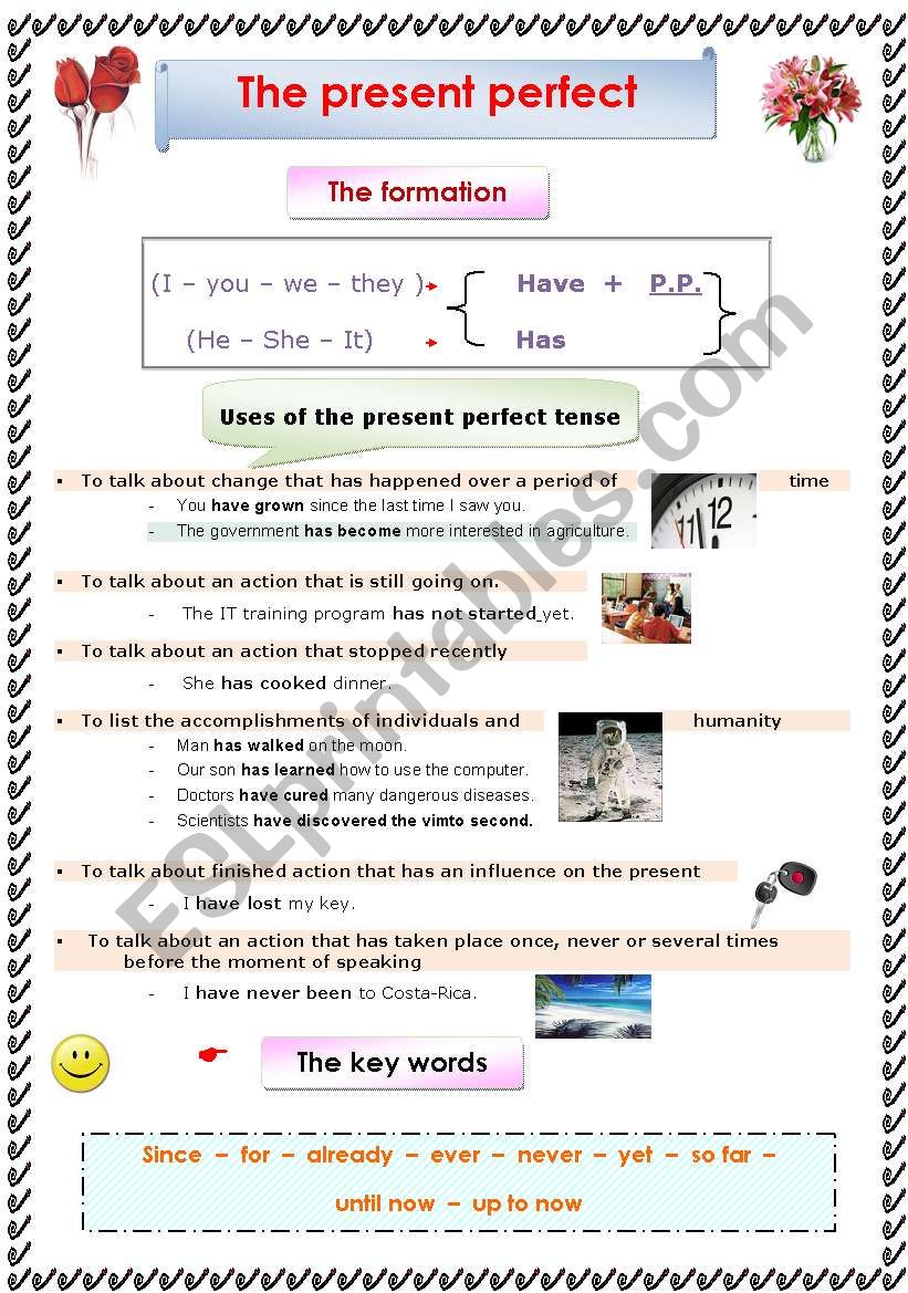The present  perfect tense worksheet
