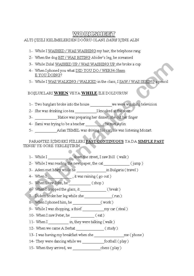 past tense & when -while worksheet