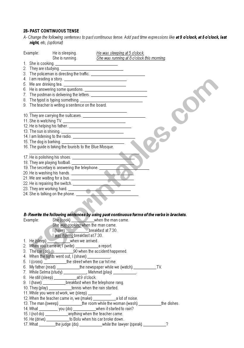 Simple Past and past continous tense