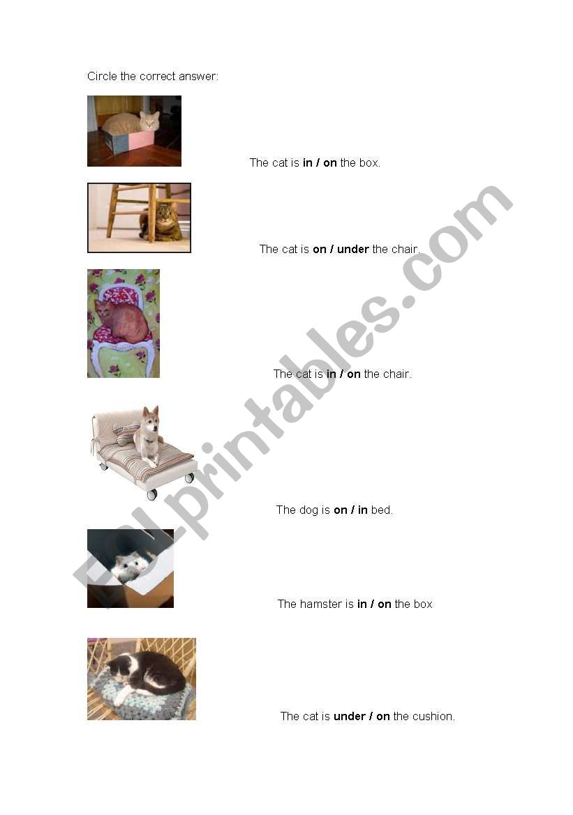 Prepositions worksheet