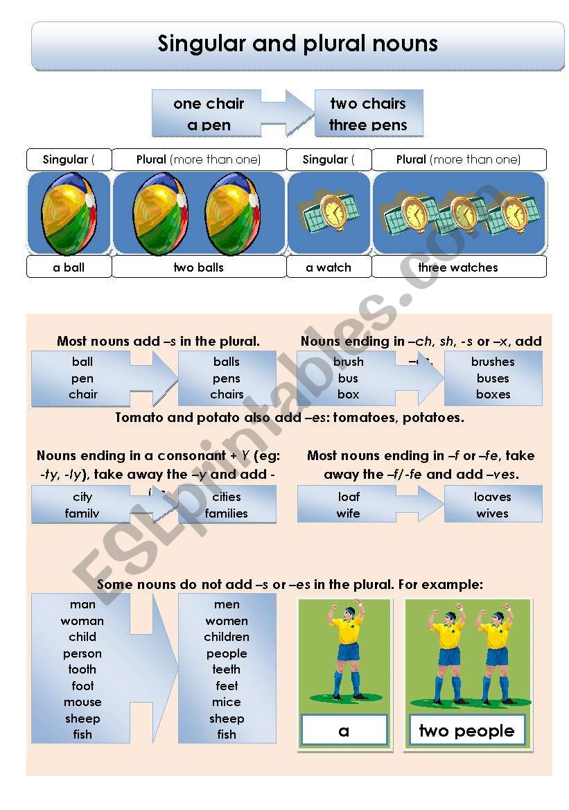 Singular and plural nouns worksheet