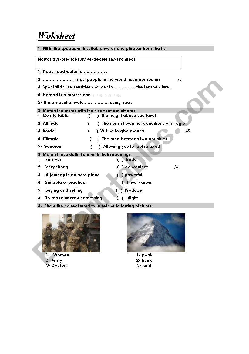 vocabulary exercises worksheet