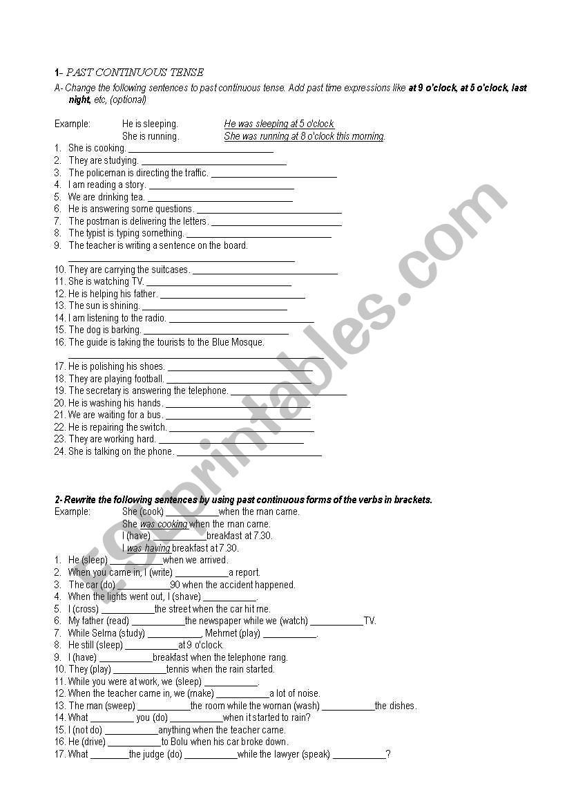 PAST CONTINUOUS TENSE WORKSHEET