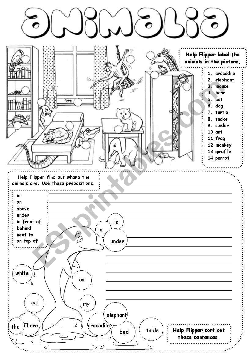 Animalia worksheet