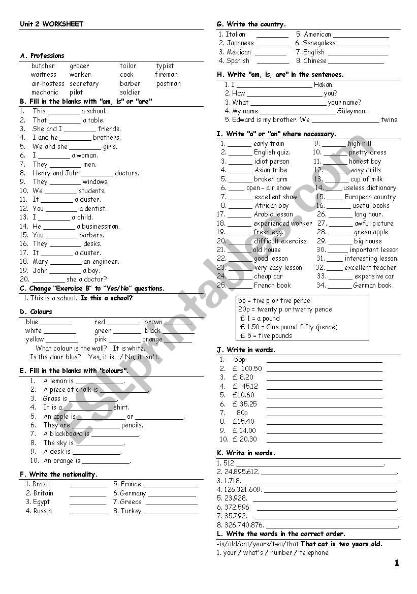 grammar activity worksheet