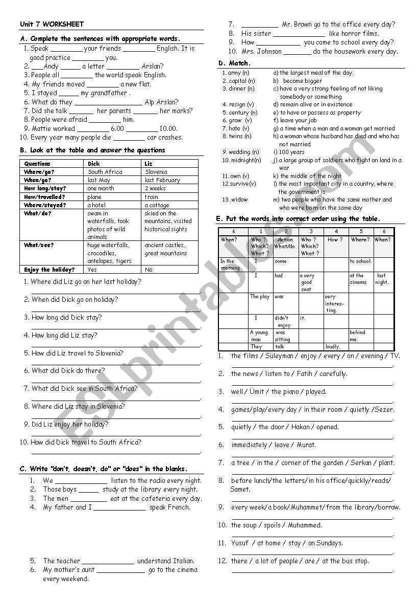 grammar and vocabulary activity