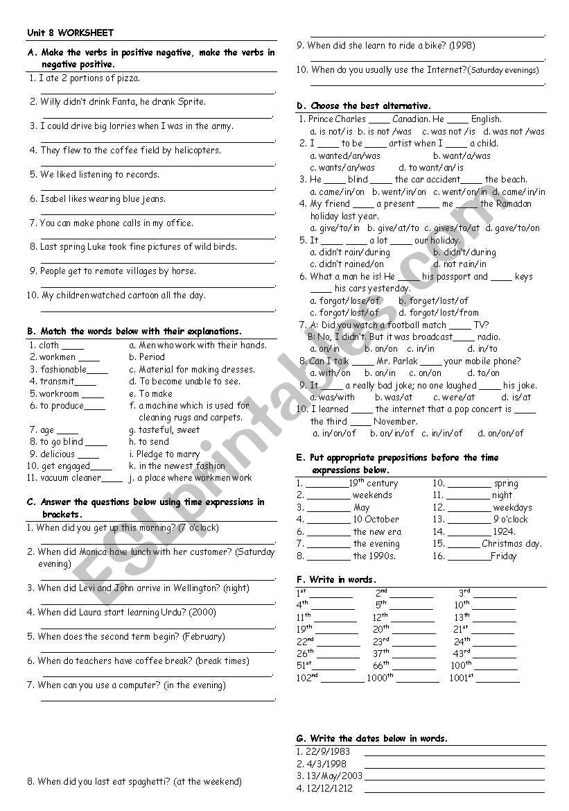 grammar and vocabulary activity 8