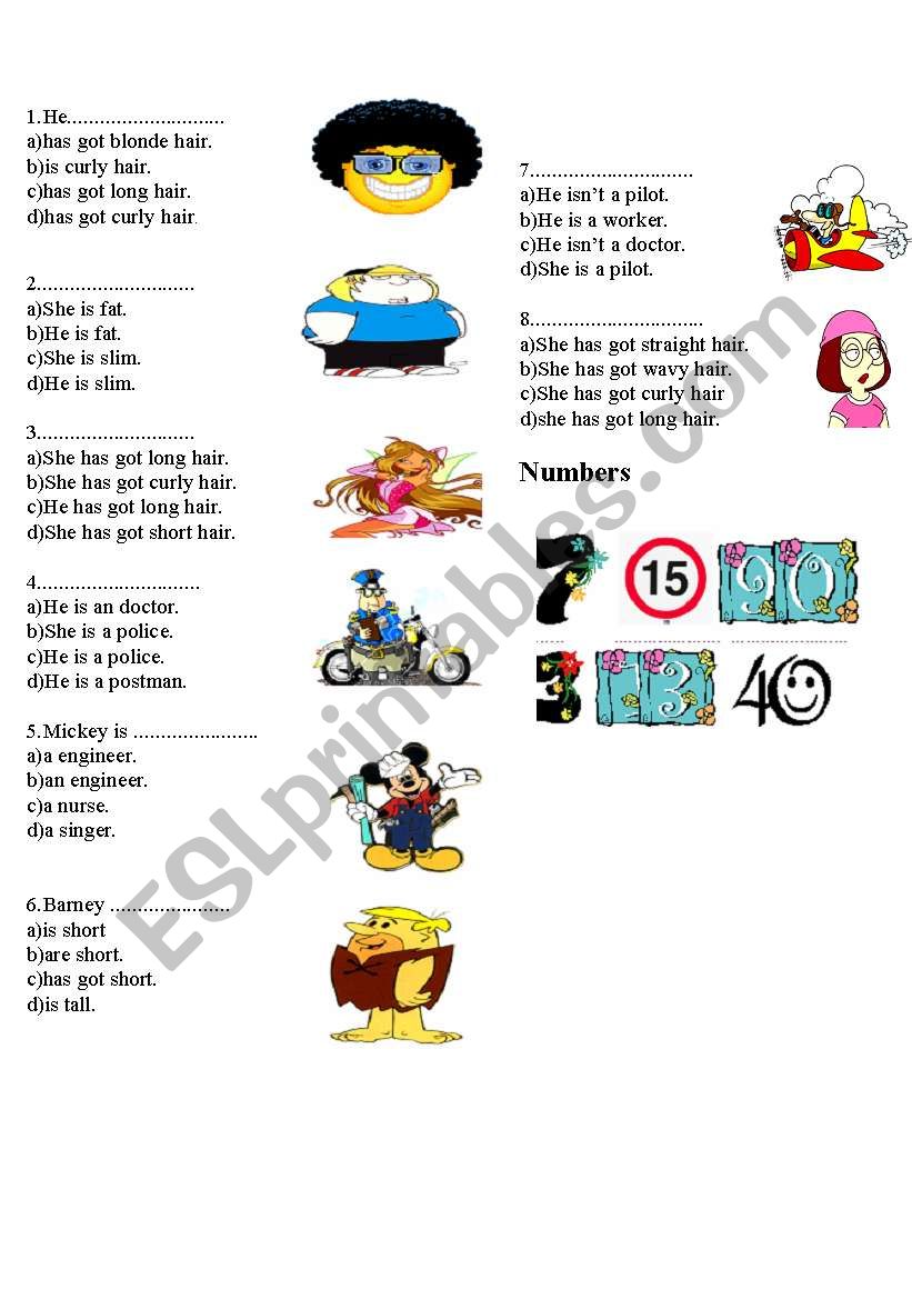 physical appearance&numbers worksheet