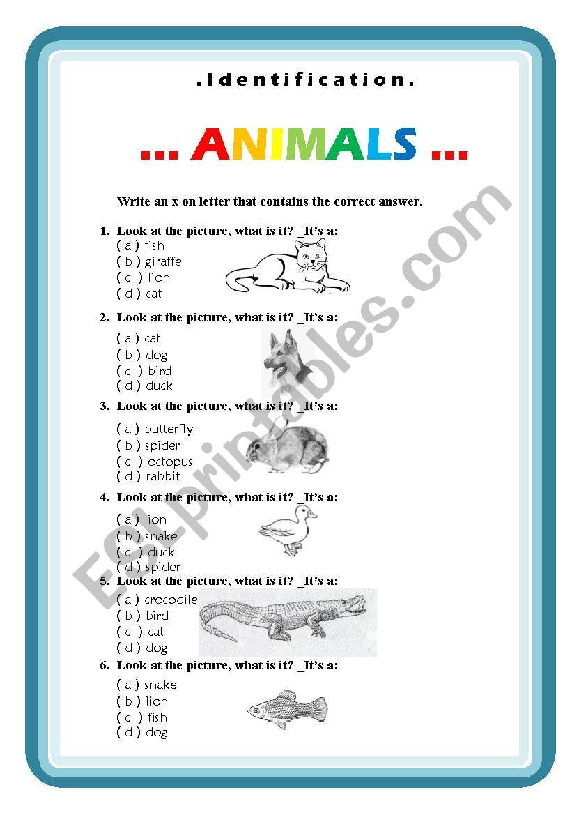 Animals, identification worksheet