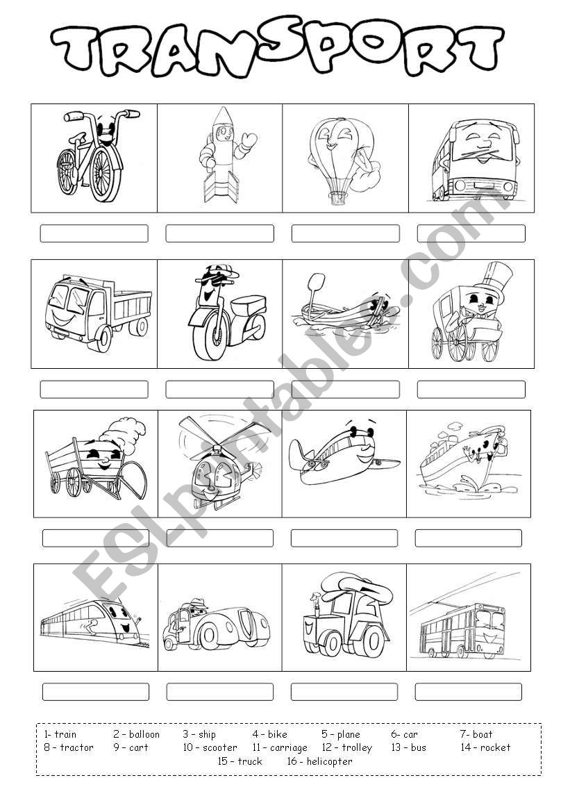 Transport 2 worksheet