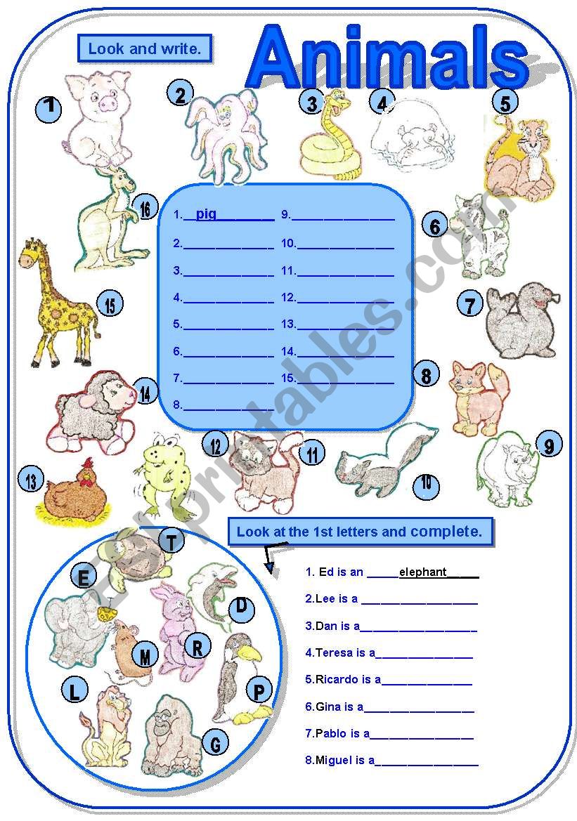 ANIMALS... worksheet