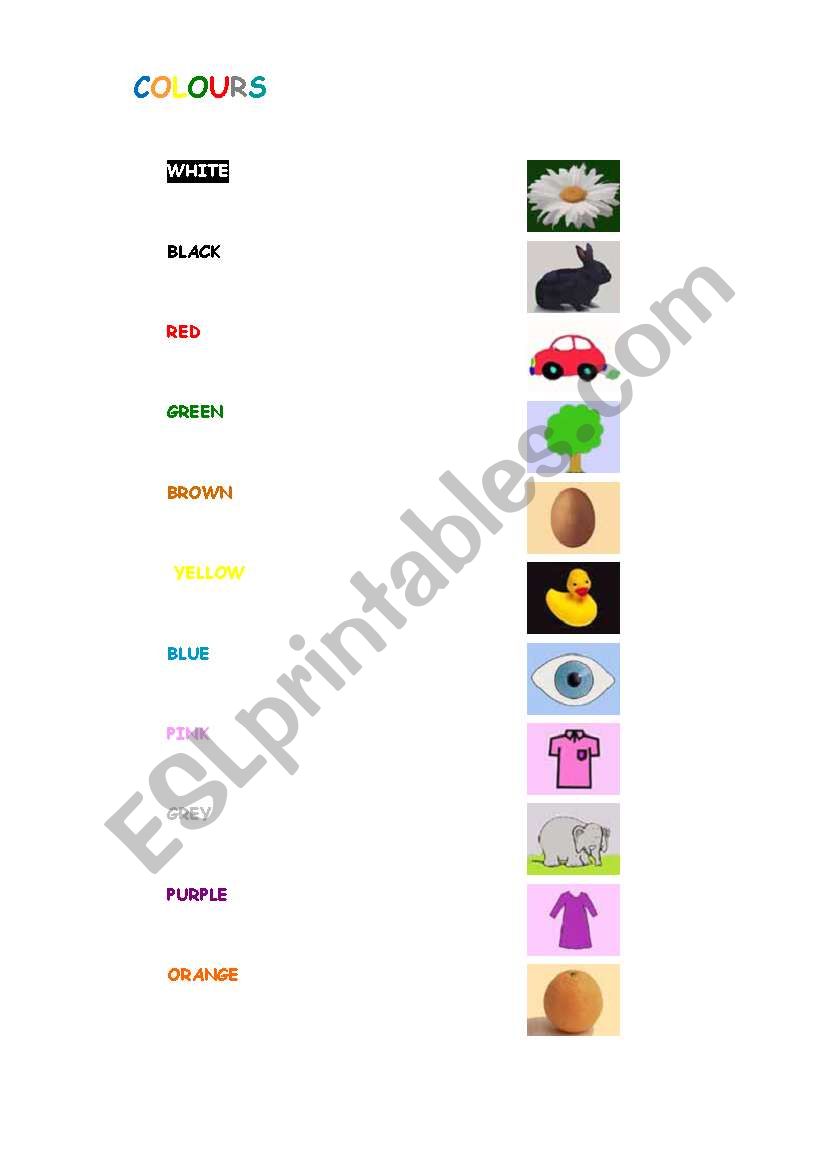 colors worksheet