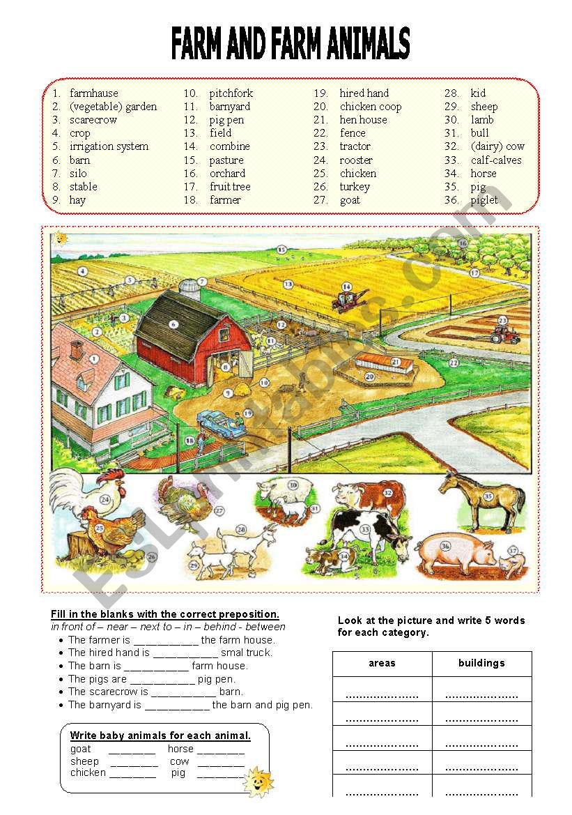 Farm and Farm Animals - Prepositions of Place