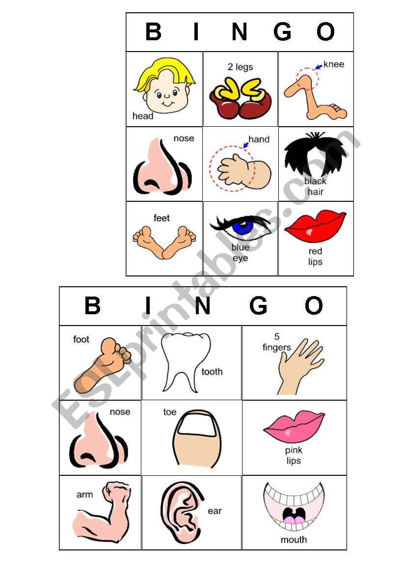 bingo  worksheet