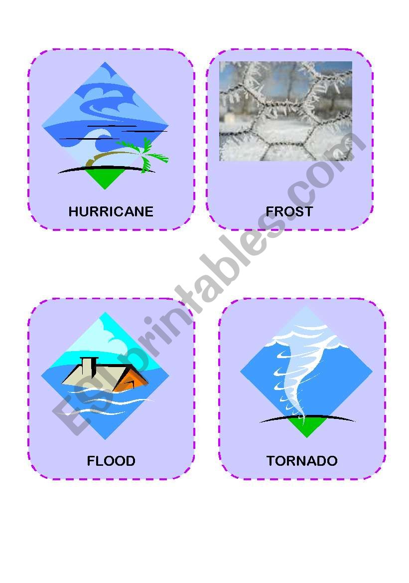 Weather flashcards - SET 2/2 worksheet