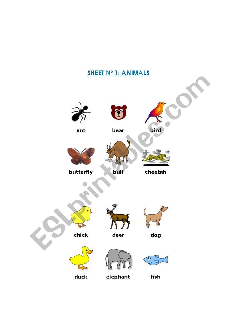 ANIMALS VOCABULARY worksheet