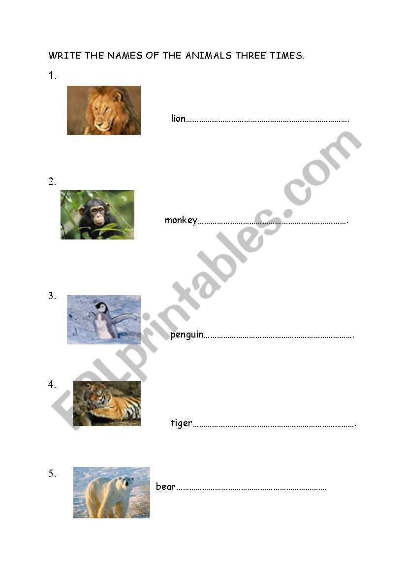 ANIMALS worksheet