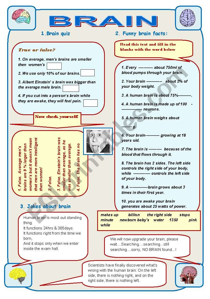 BRAIN - IT IS AMAZING! Part1 worksheet