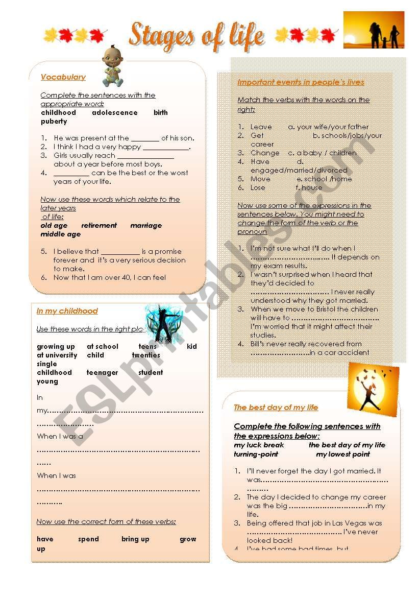 Stages of life worksheet