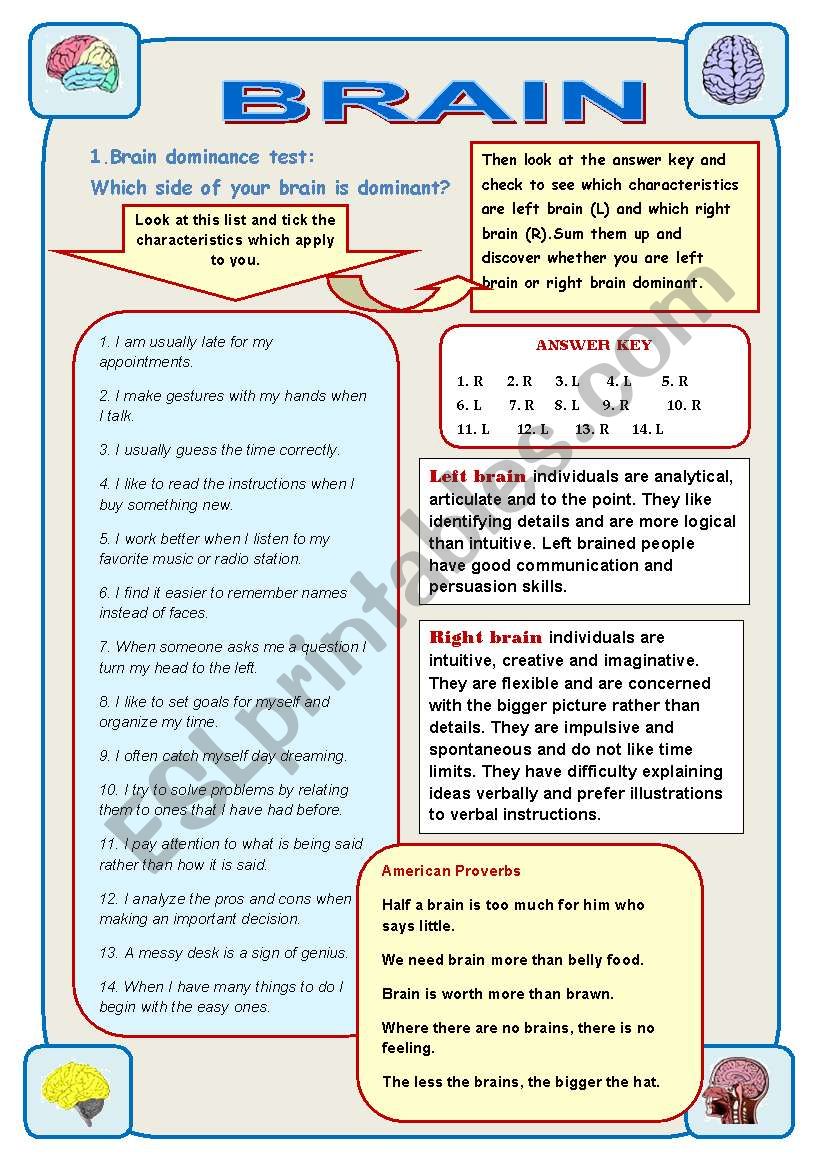 BRAIN - IT IS AMAZING! Part 2 worksheet