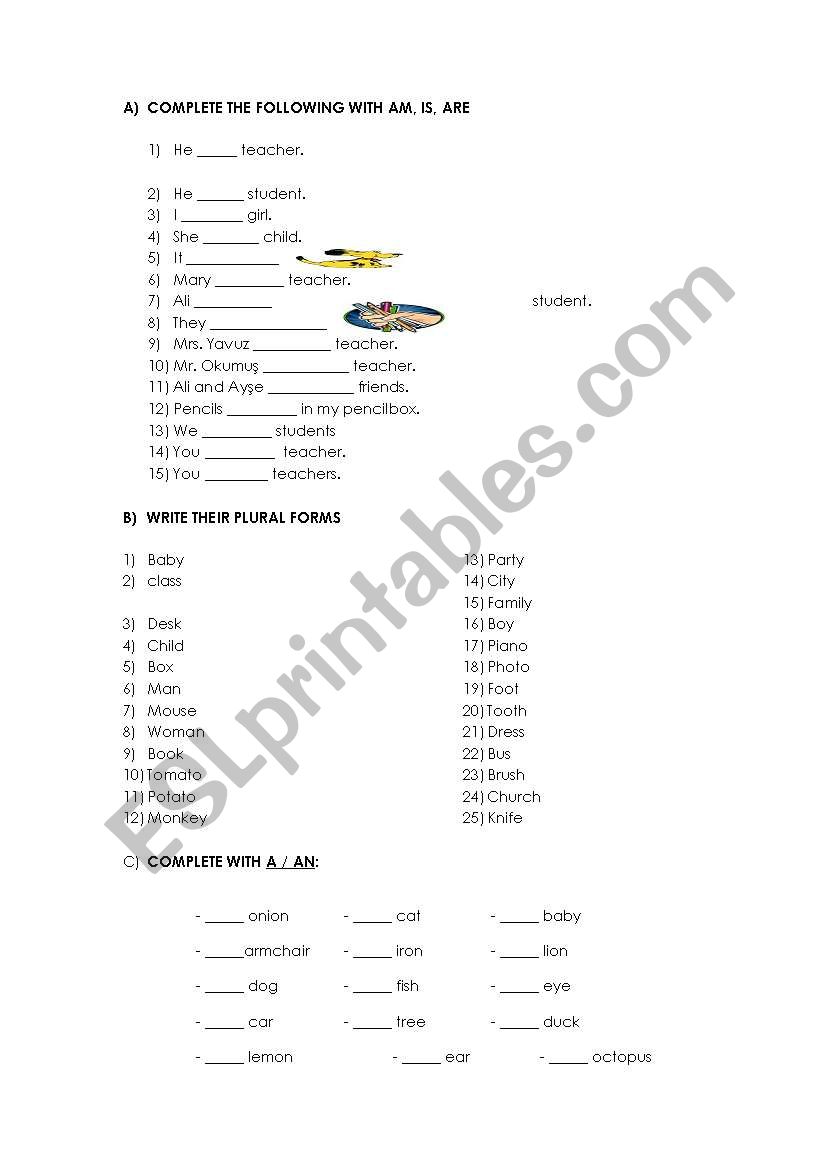 revison for 4th grades worksheet