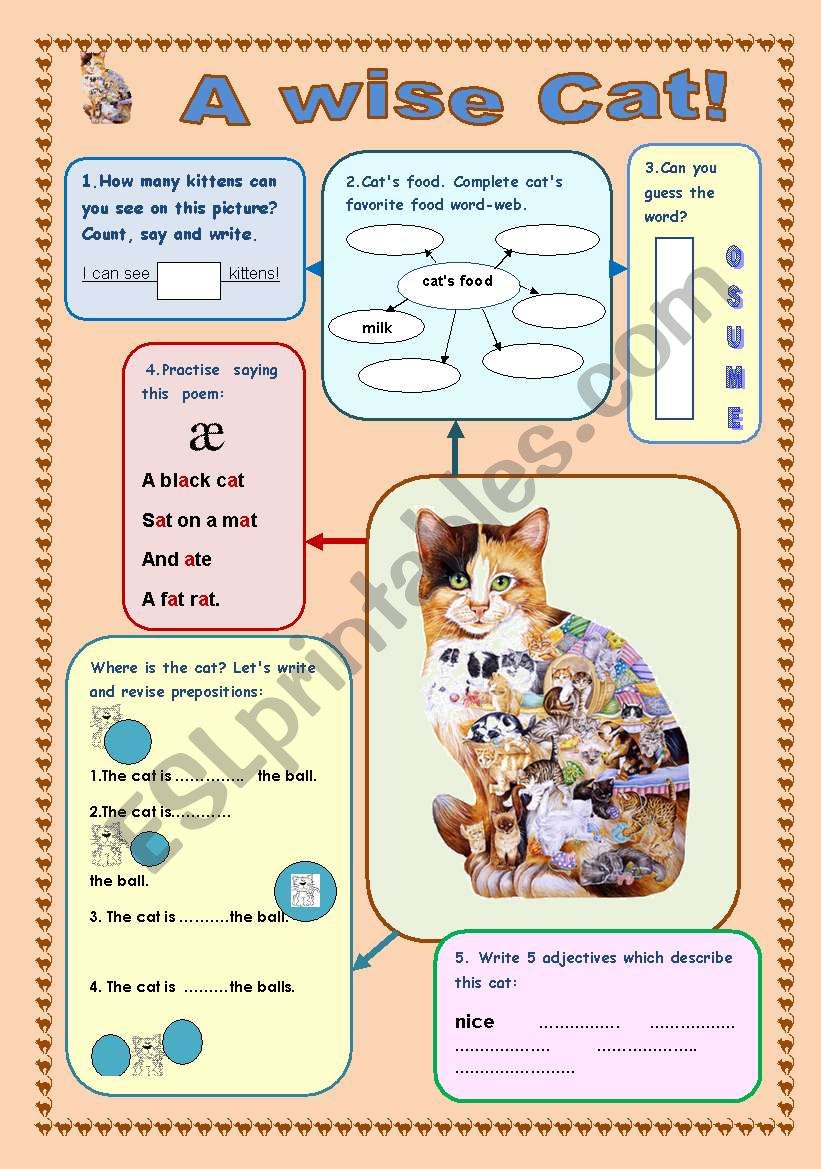 A WISE CAT! Revision for kids.
