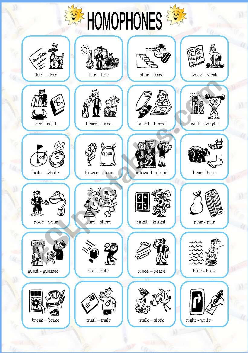 HOMOPHONES worksheet